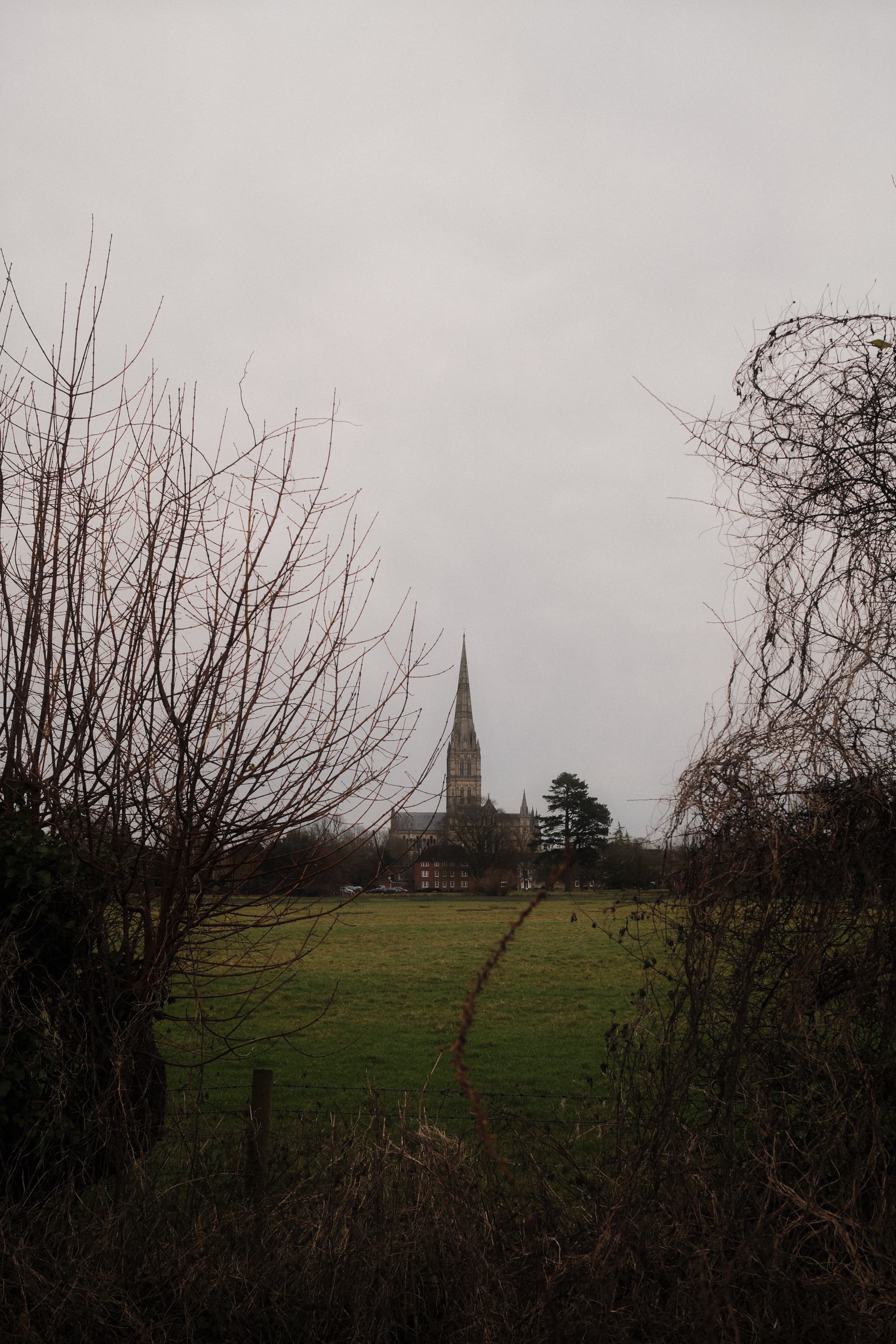 Salisbury Cathedral across the fields