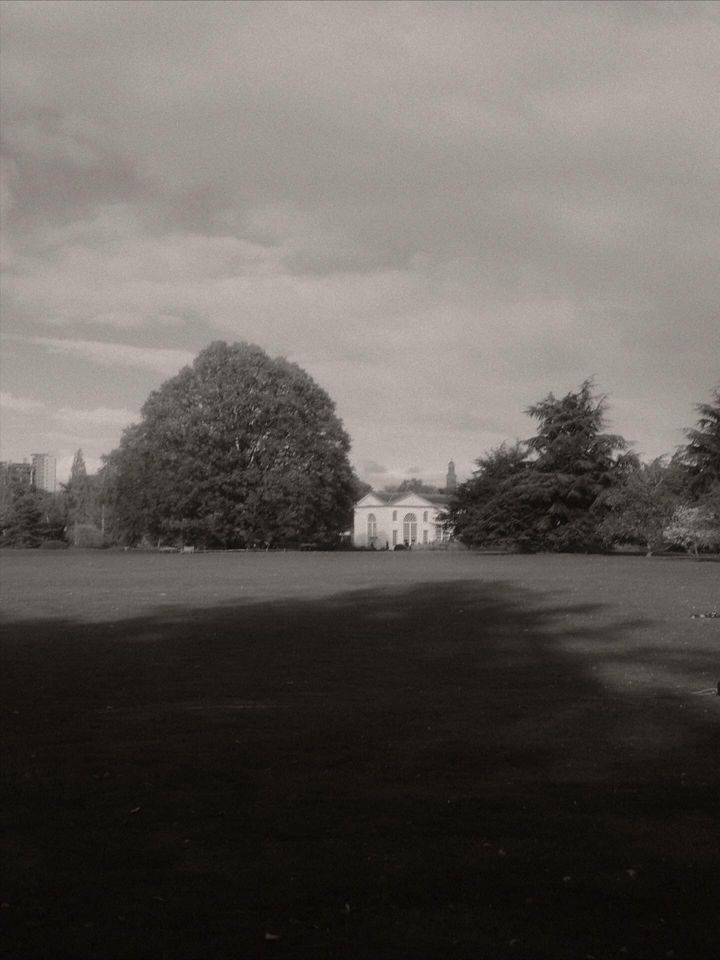 Description of the image